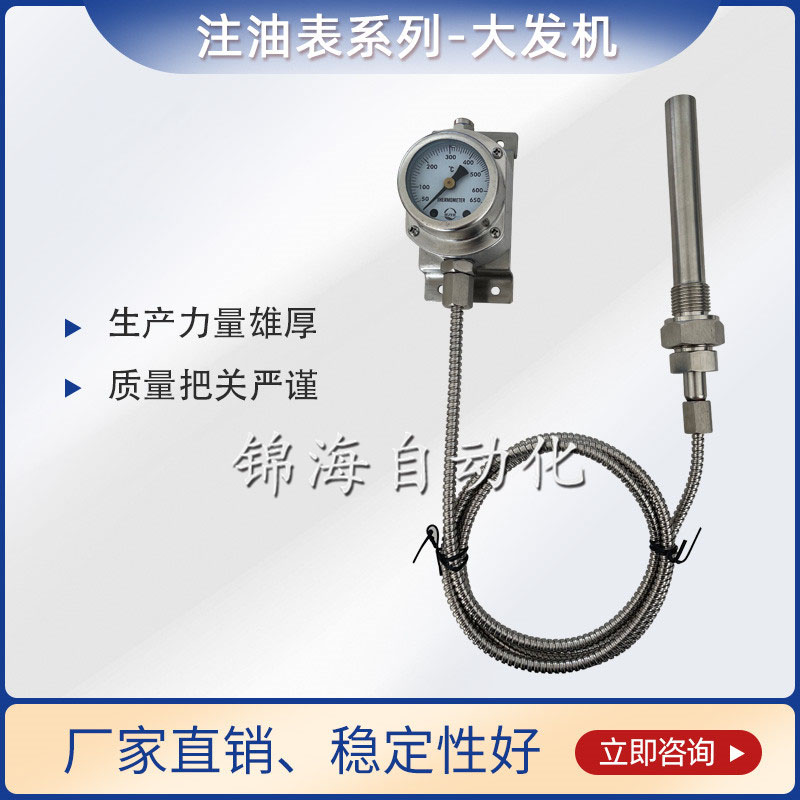 WQTN耐震壓力式溫度計(jì)系列